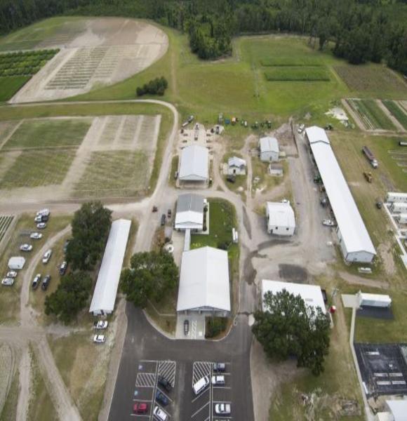 White page template 580x600